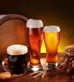 海珠多彩扎啤邀請你加盟